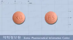 펠로덴지속정(펠로디핀) 사진