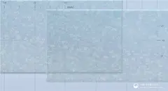 몬테프리오디에프10밀리그램(몬테루카스트나트륨) 낱알