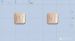 몬트레어정10밀리그램(몬테루카스트나트륨) 사진