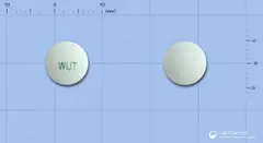 하루디서방정0.2밀리그램(탐스로신염산염) 사진