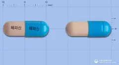 경진헤파신캡슐(배농산급탕) 사진