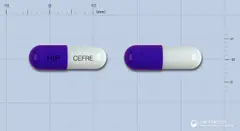 세프레캡슐250mg(세파클러수화물) 사진