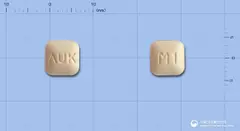 몬테스코정10mg(몬테루카스트나트륨) 사진