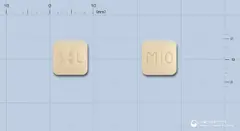 몬테루스정10mg(몬테루카스트나트륨) 사진