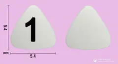 펜타칸설하정 133마이크로그램(펜타닐시트르산염) 사진