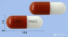 넬슨프레가발린캡슐75mg(프레가발린) 사진