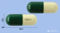 카필러스캡슐 사진