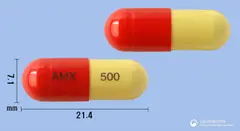 아목시스캡슐500mg(아목시실린수화물) 사진