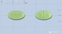 기네스타정 사진