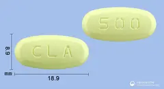 클래정500mg(클래리트로마이신) 사진