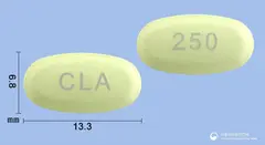 클래정250mg(클래리트로마이신) 사진