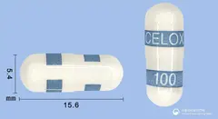 셀록스캡슐100mg(세레콕시브) 사진