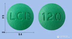 징코멕스정120mg(은행엽건조엑스) 사진
