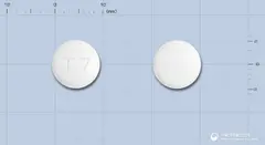 트랜미정 사진