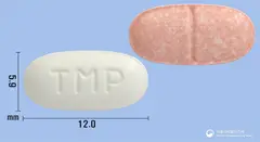 텔미즈플러스정40/12.5mg 사진