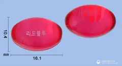 리드플루연질캡슐 사진