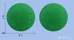 빌로바정120mg(은행엽건조엑스) 사진
