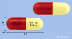 세클렉스캡슐250mg(세파클러수화물) 사진
