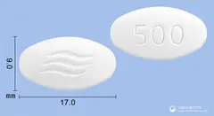애니목스정500mg(아목시실린·설박탐피복실) 사진