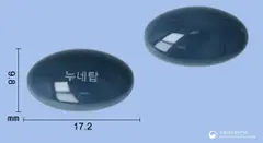 누네탑에프연질캡슐 사진