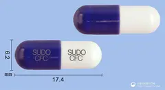 팜젠세파클러캡슐250mg 사진