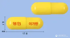 이가탄캡슐 사진