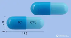 세파진캡슐250밀리그램(세파클러수화물) 사진